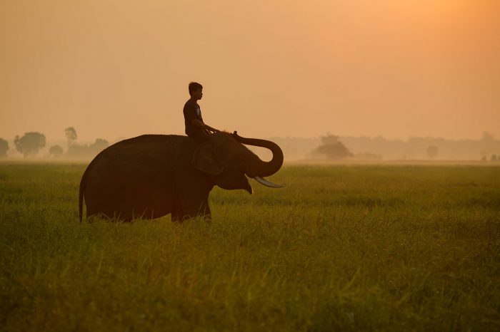 NORTH THAILAND AT A GLANCE